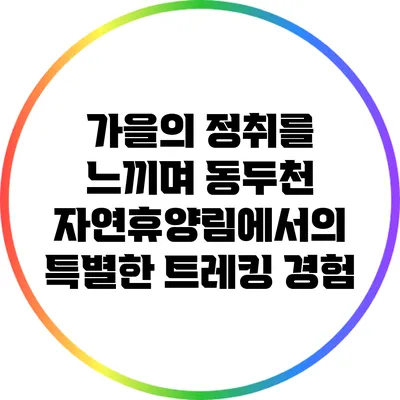 가을의 정취를 느끼며 동두천 자연휴양림에서의 특별한 트레킹 경험