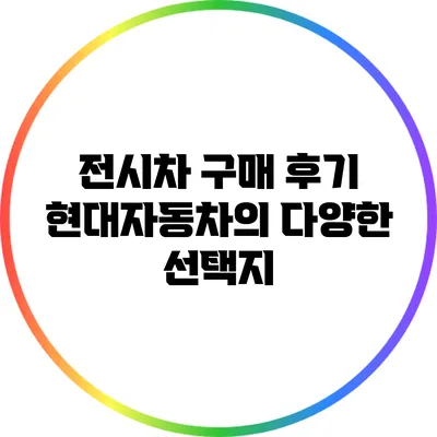 전시차 구매 후기: 현대자동차의 다양한 선택지