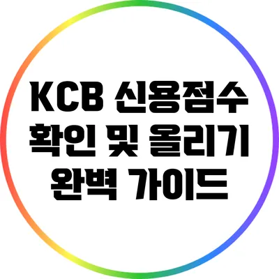 KCB 신용점수 확인 및 올리기 완벽 가이드