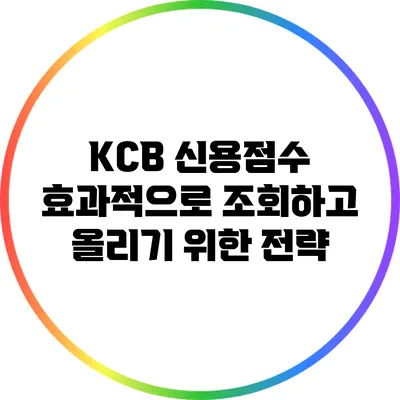 KCB 신용점수 효과적으로 조회하고 올리기 위한 전략