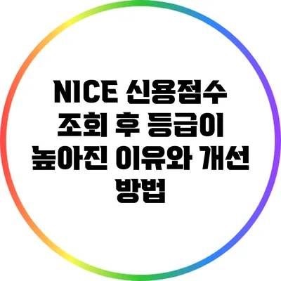 NICE 신용점수 조회 후 등급이 높아진 이유와 개선 방법