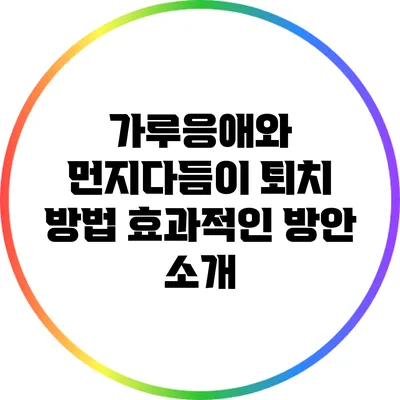 가루응애와 먼지다듬이 퇴치 방법: 효과적인 방안 소개