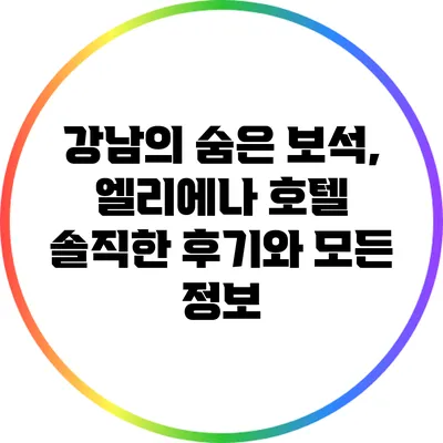 강남의 숨은 보석, 엘리에나 호텔 솔직한 후기와 모든 정보