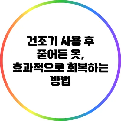 건조기 사용 후 줄어든 옷, 효과적으로 회복하는 방법