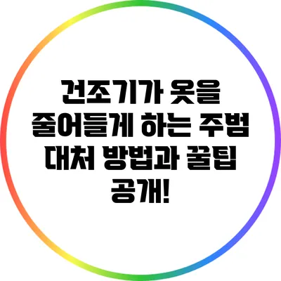 건조기가 옷을 줄어들게 하는 주범? 대처 방법과 꿀팁 공개!