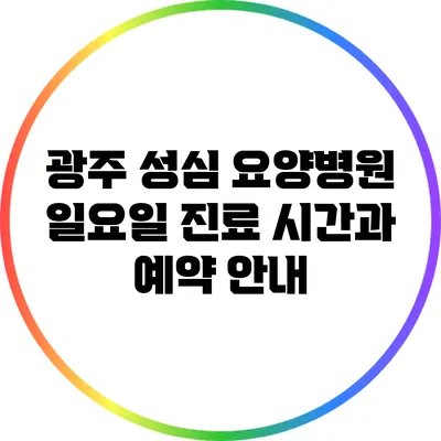 광주 성심 요양병원 일요일 진료 시간과 예약 안내