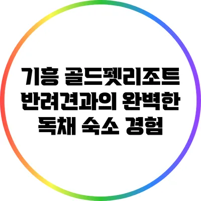기흥 골드펫리조트: 반려견과의 완벽한 독채 숙소 경험
