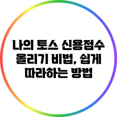 나의 토스 신용점수 올리기 비법, 쉽게 따라하는 방법