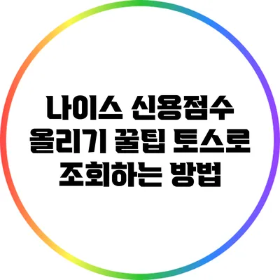 나이스 신용점수 올리기 꿀팁: 토스로 조회하는 방법