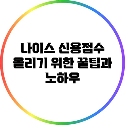 나이스 신용점수 올리기 위한 꿀팁과 노하우