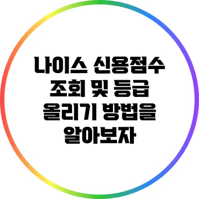 나이스 신용점수 조회 및 등급 올리기 방법을 알아보자