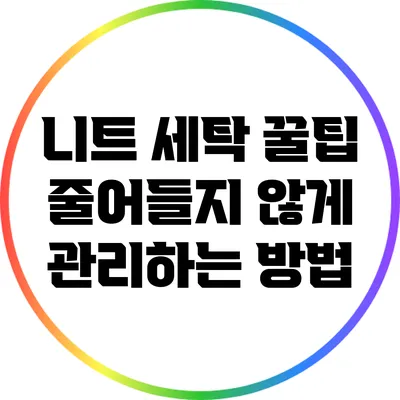 니트 세탁 꿀팁: 줄어들지 않게 관리하는 방법