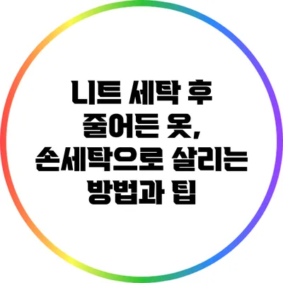 니트 세탁 후 줄어든 옷, 손세탁으로 살리는 방법과 팁