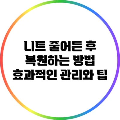 니트 줄어든 후 복원하는 방법: 효과적인 관리와 팁