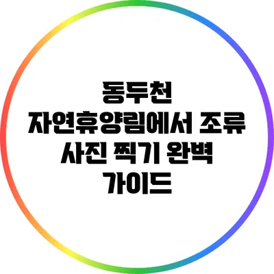 동두천 자연휴양림에서 조류 사진 찍기: 완벽 가이드