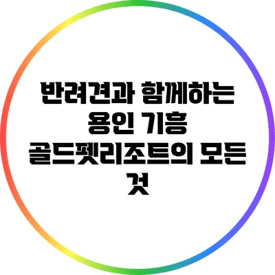 반려견과 함께하는 용인 기흥 골드펫리조트의 모든 것