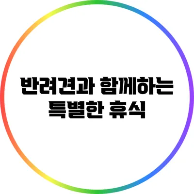 반려견과 함께하는 특별한 휴식
