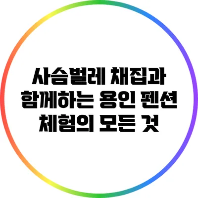 사슴벌레 채집과 함께하는 용인 펜션 체험의 모든 것