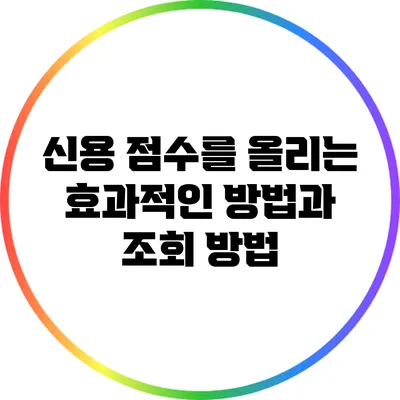 신용 점수를 올리는 효과적인 방법과 조회 방법