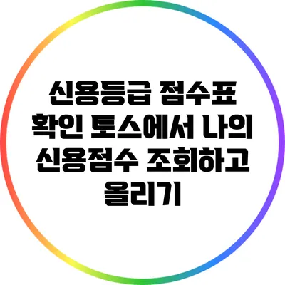 신용등급 점수표 확인: 토스에서 나의 신용점수 조회하고 올리기