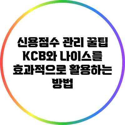 신용점수 관리 꿀팁: KCB와 나이스를 효과적으로 활용하는 방법