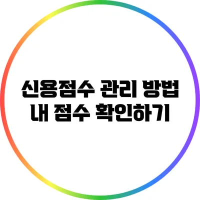 신용점수 관리 방법: 내 점수 확인하기
