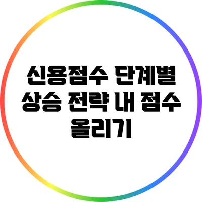 신용점수 단계별 상승 전략: 내 점수 올리기