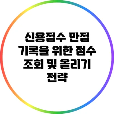 신용점수 만점 기록을 위한 점수 조회 및 올리기 전략