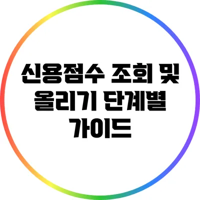 신용점수 조회 및 올리기: 단계별 가이드