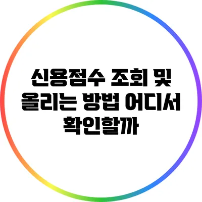 신용점수 조회 및 올리는 방법: 어디서 확인할까?