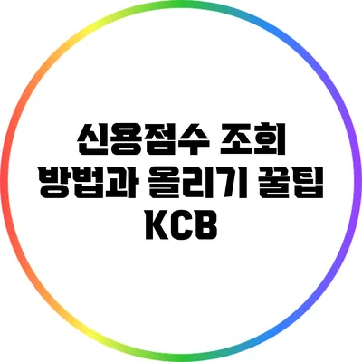 신용점수 조회 방법과 올리기 꿀팁: KCB