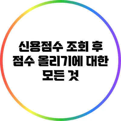 신용점수 조회 후 점수 올리기에 대한 모든 것