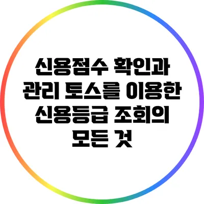신용점수 확인과 관리: 토스를 이용한 신용등급 조회의 모든 것