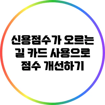 신용점수가 오르는 길: 카드 사용으로 점수 개선하기