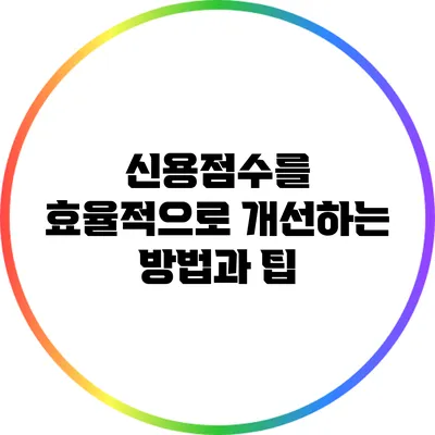 신용점수를 효율적으로 개선하는 방법과 팁