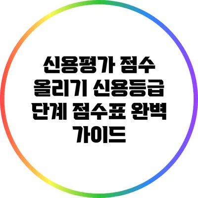 신용평가 점수 올리기: 신용등급 단계 점수표 완벽 가이드