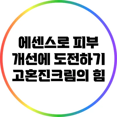 에센스로 피부 개선에 도전하기: 고혼진크림의 힘