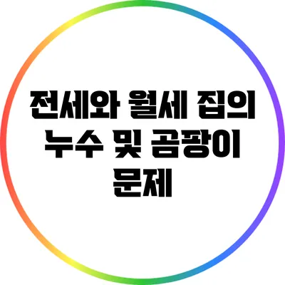 전세와 월세 집의 누수 및 곰팡이 문제