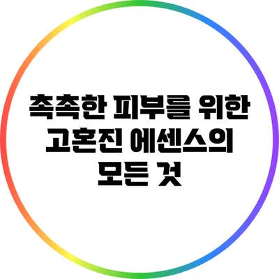 촉촉한 피부를 위한 고혼진 에센스의 모든 것