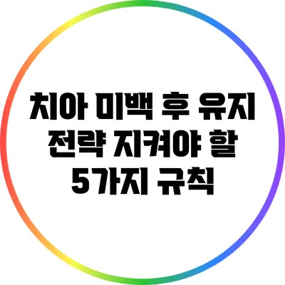 치아 미백 후 유지 전략: 지켜야 할 5가지 규칙