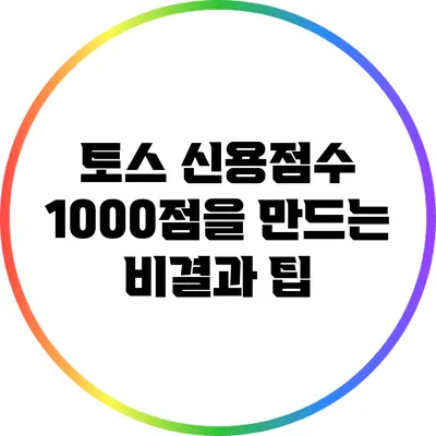 토스 신용점수 1000점을 만드는 비결과 팁