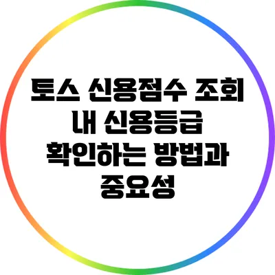 토스 신용점수 조회: 내 신용등급 확인하는 방법과 중요성