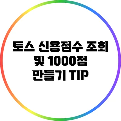 토스 신용점수 조회 및 1000점 만들기 TIP