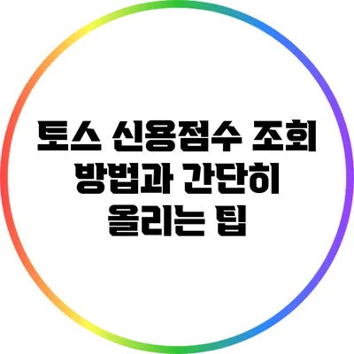 토스 신용점수 조회 방법과 간단히 올리는 팁