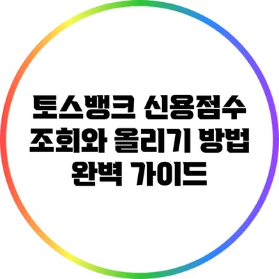 토스뱅크 신용점수 조회와 올리기 방법 완벽 가이드