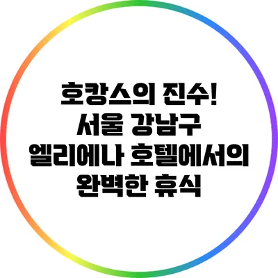 호캉스의 진수! 서울 강남구 엘리에나 호텔에서의 완벽한 휴식