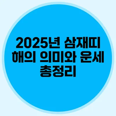 2025년 삼재띠 해의 의미와 운세 총정리