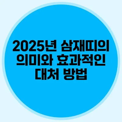 2025년 삼재띠의 의미와 효과적인 대처 방법