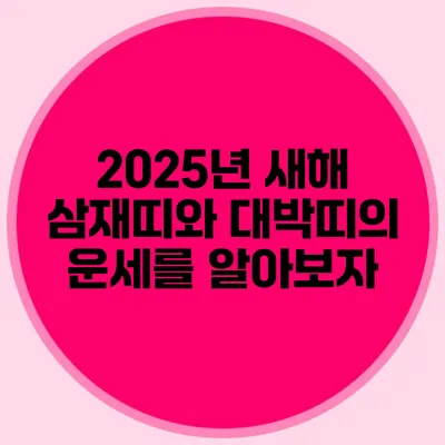 2025년 새해 삼재띠와 대박띠의 운세를 알아보자