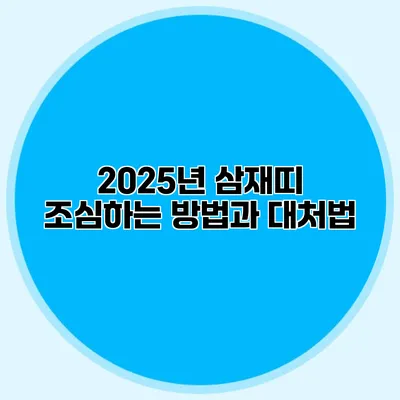 2025년 삼재띠 조심하는 방법과 대처법